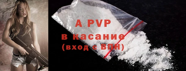 spice Баксан