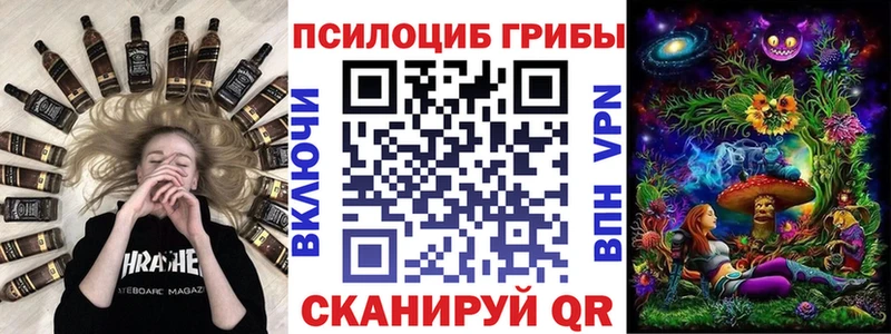 Псилоцибиновые грибы ЛСД  площадка какой сайт  Гатчина 
